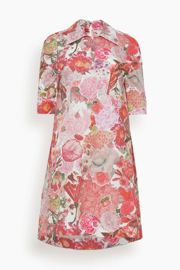 Short Sleeve Collared Dress in Pink Clematis | Hampden Clothing