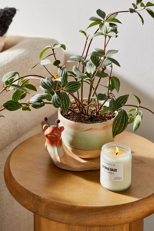 Stoneware Snail Planter Set | Urban Outfitters (US and RoW)