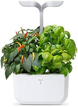 Veritable VEXK-SAWAS-US-23 Exky Smart Indoor Garden, Artic White | Amazon (US)
