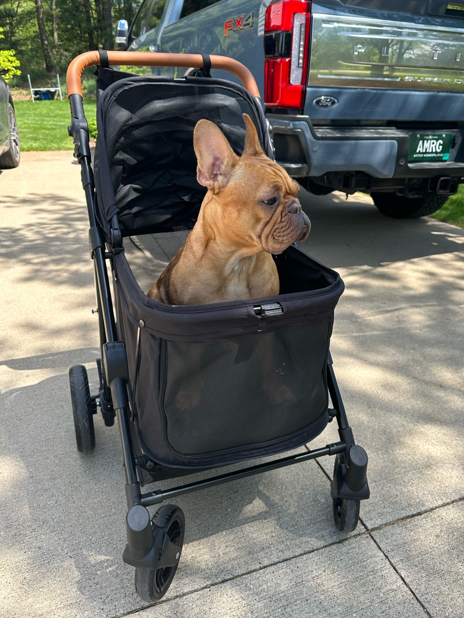 Luxury dog stroller! Great price and actually good quality. Smells like a new car. Easy to fold and store 

#LTKHome #LTKActive #LTKTravel
