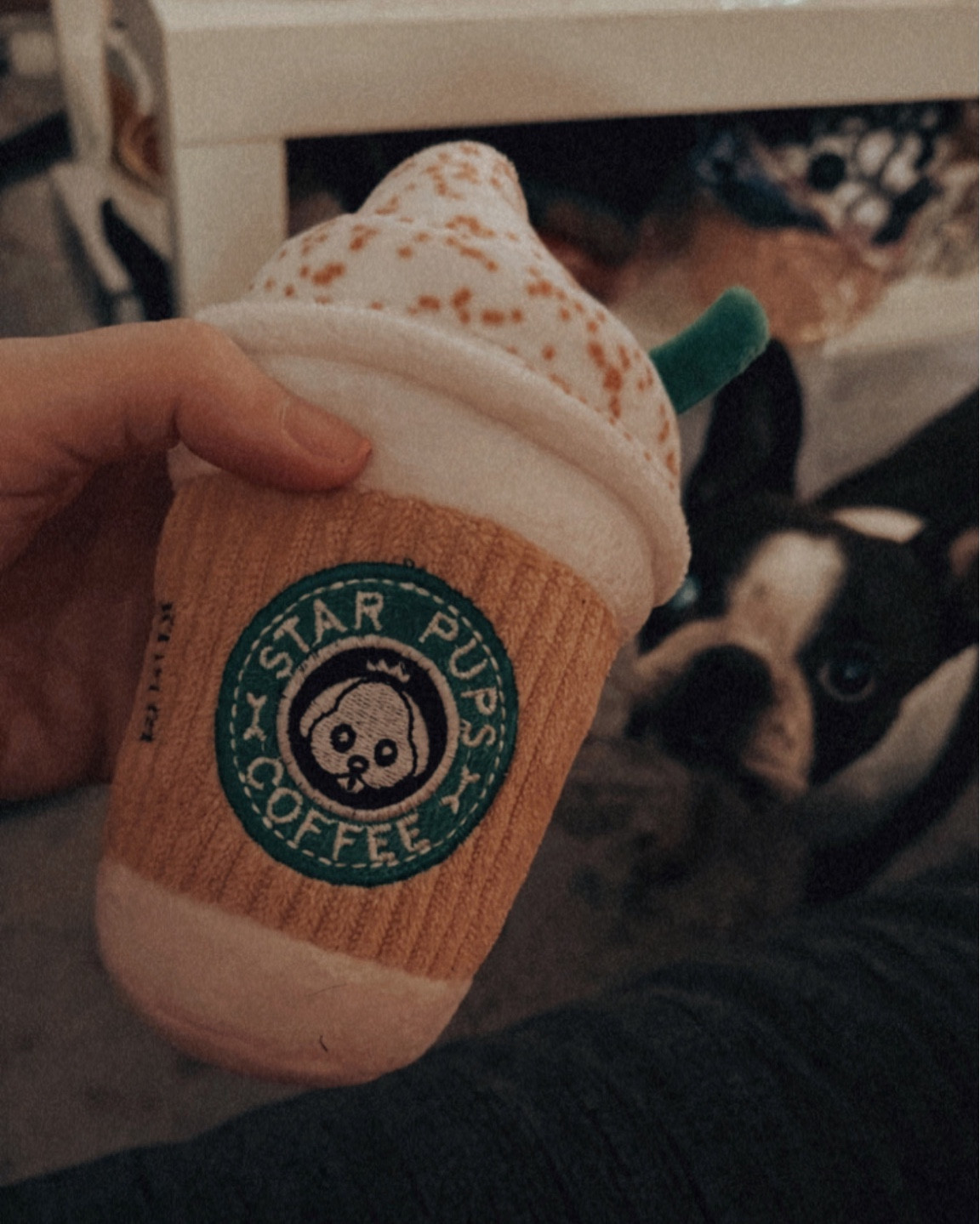 Perfect for any holiday party that you know has dogs! I love getting my dog toys that I enjoy just as much too! Amazon dog toy  

#LTKfamily #LTKhome #LTKsalealert