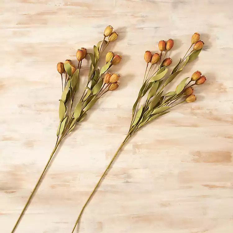 New!Beige Pod Sprays, Set of 2 | Kirkland's Home