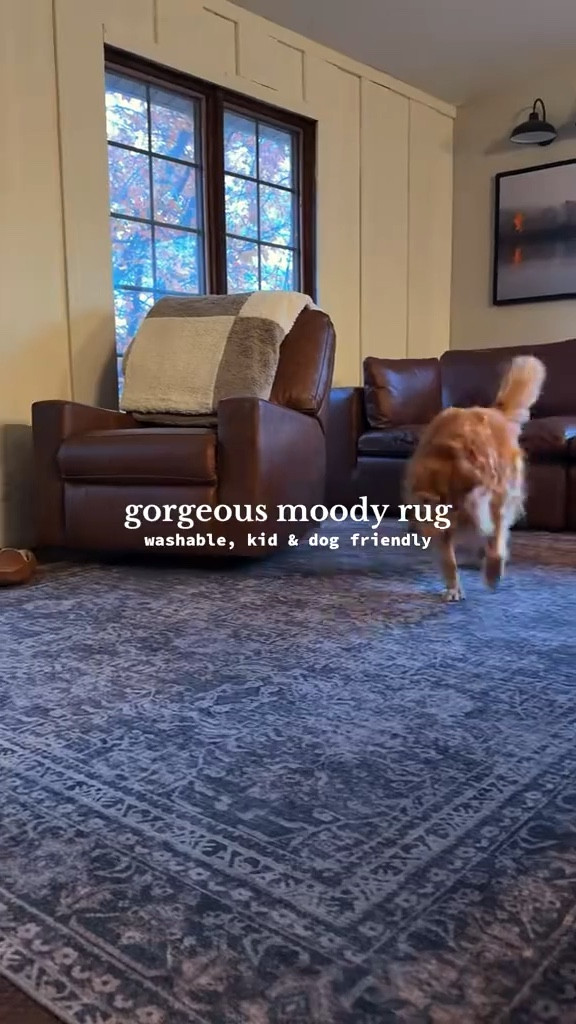 This rug instantly makes the space feel warm and inviting 🌿 #ltkfinds #homestyle #roominspo

#LTKHome #LTKSeasonal