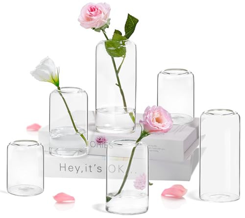 ZENS Bud Vases Set of 6, Modern Small Glasss Vase for Flower Clear Bud Vases in Bulk for Wedding Centerpiece, Blown Thicker Glass Small Vase for Flowers, Wedding Party Decorative, Home Bathroom Decor | Amazon (US)