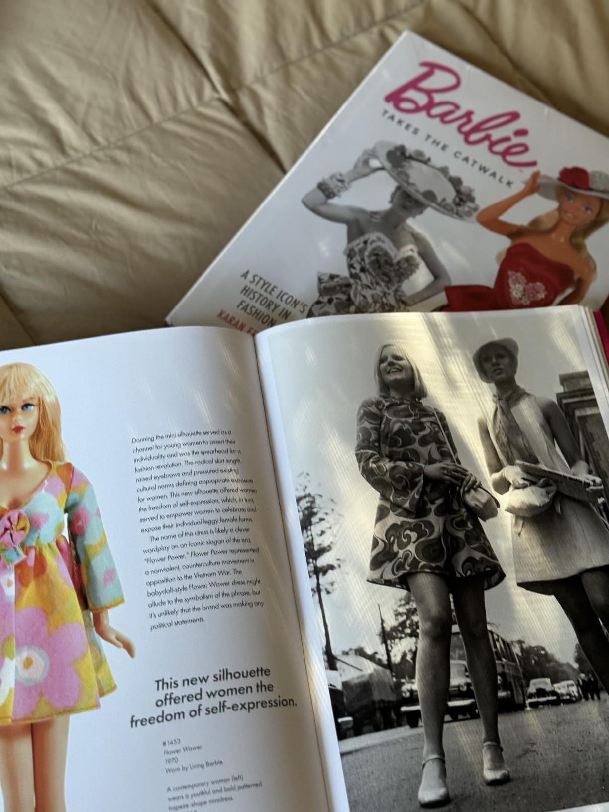 Barbie Takes the Catwalk: A Style Icon's History in Fashion | Amazon (US)