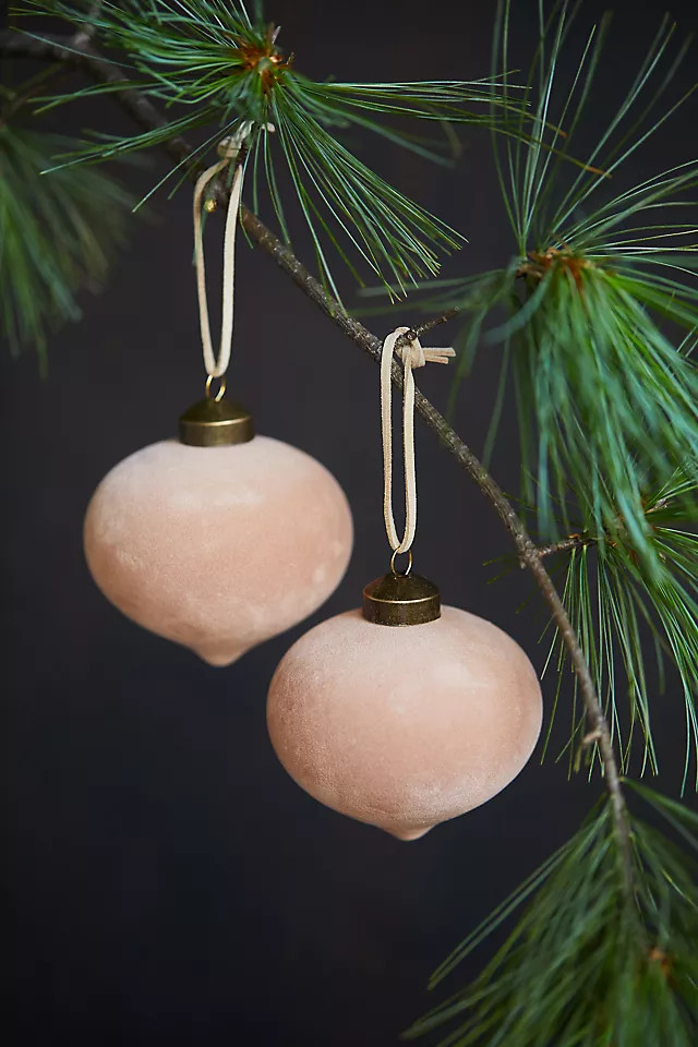 Anthropologie | Anthropologie (US)