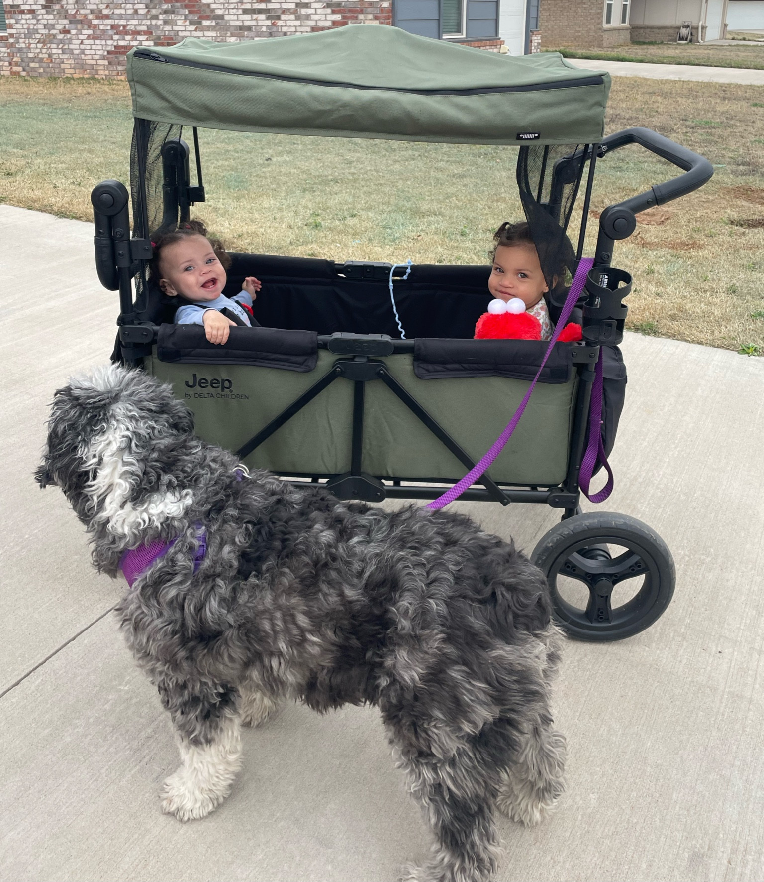 Stroller wagon 

#LTKkids #LTKbaby #LTKfamily