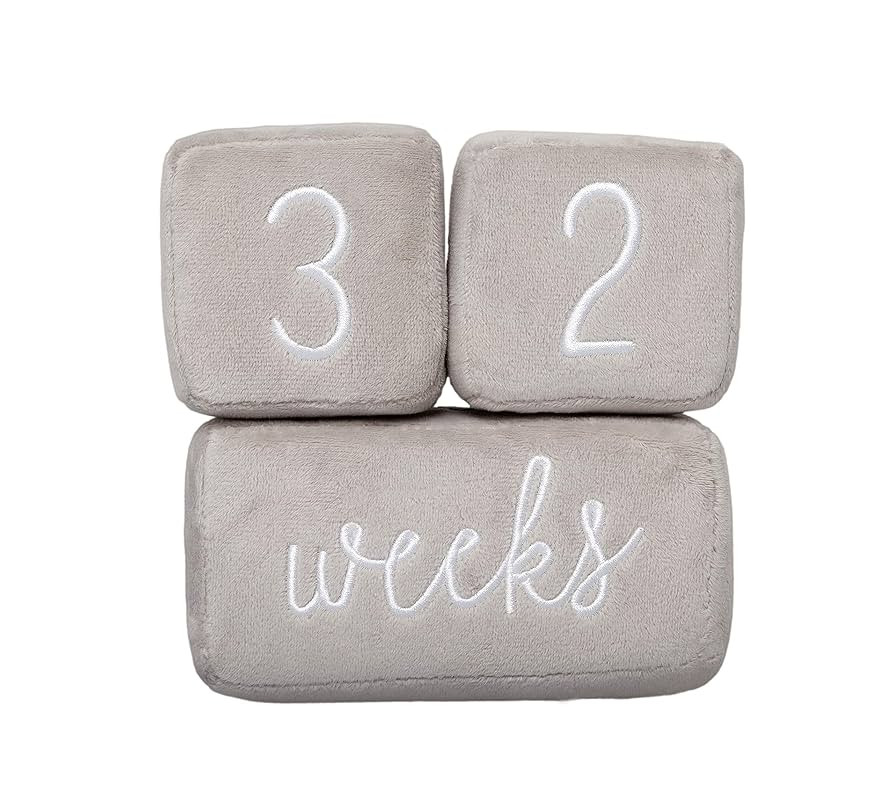 Pearhead Baby Plush Photo Sharing Milestone Age Blocks, Picture Prop, Set of 3 Blocks, Gray | Amazon (US)