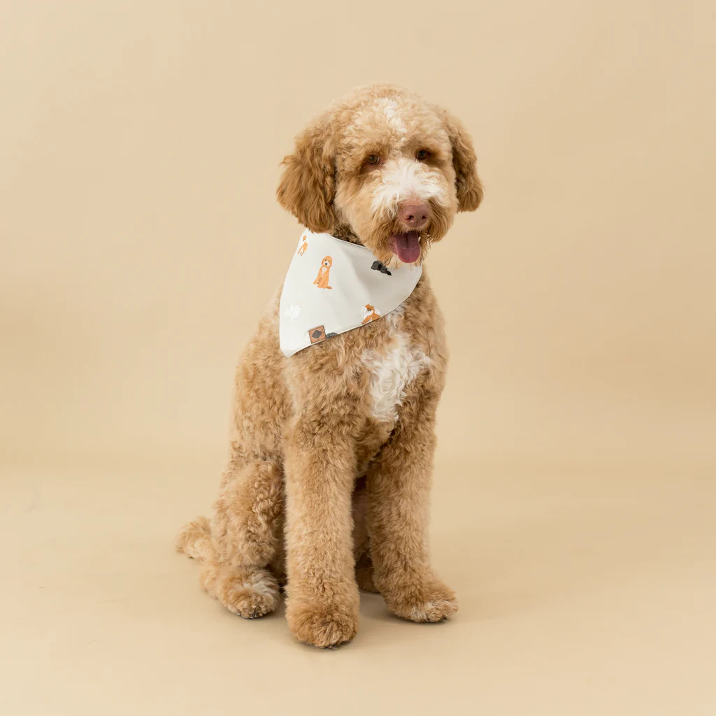 Dog Bandana in Fluffy Dog | Kyte Baby
