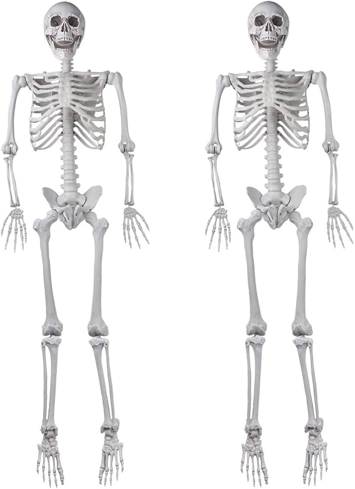 2Packs 5.4ft Halloween Human Skeletons Life Size Full Body Bones with Movable Joints for Hallowee... | Amazon (US)