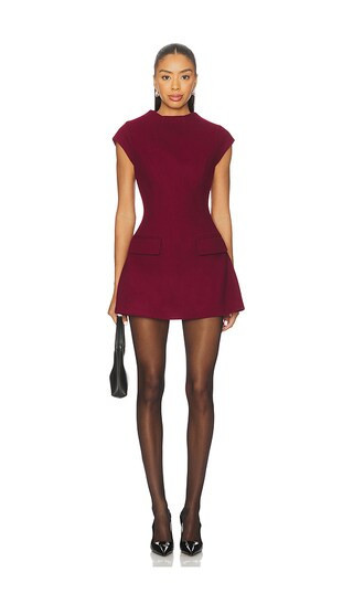 Line & Dot Noelia Mini Dress in Burgundy. - size S | Revolve Clothing (Global)