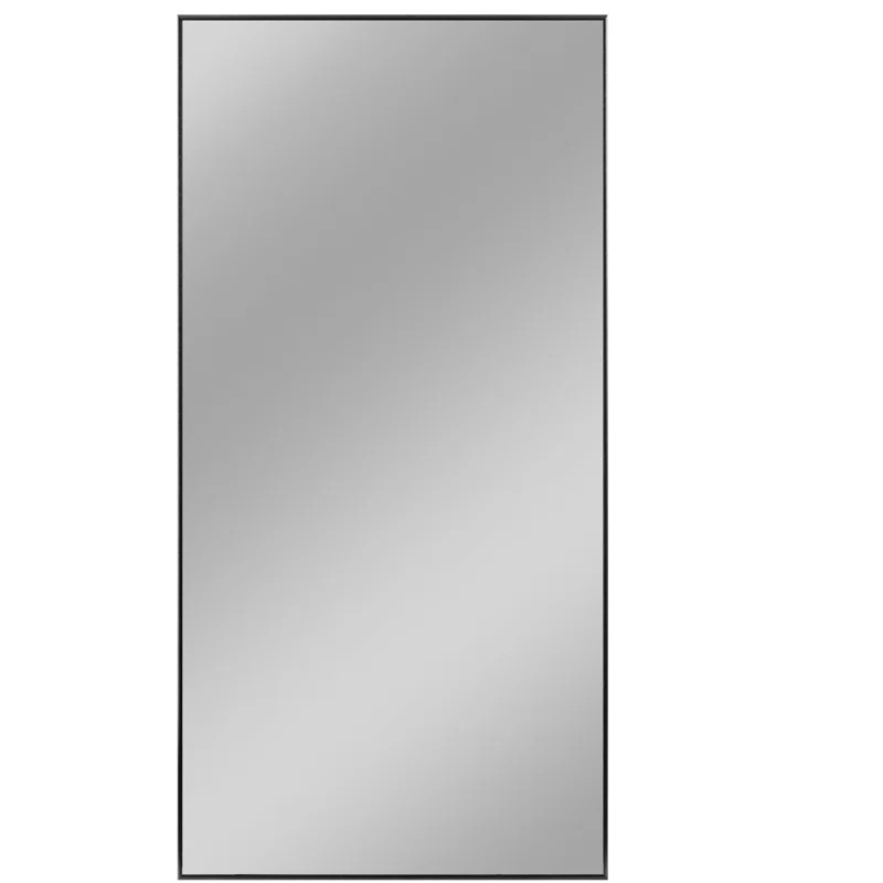 Newtown Modern & Contemporary Accent Mirror | Wayfair Professional