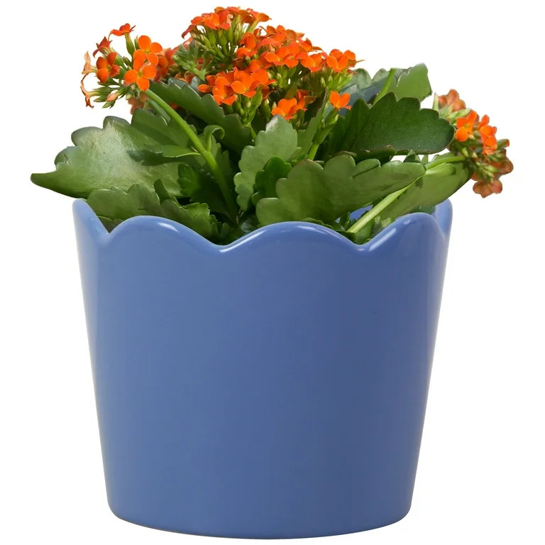 Mainstays Small 4in Diameter Round Blue Scallop Ceramic Planter | Walmart (US)