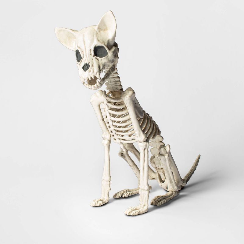 Chihuahua Skeleton Halloween Decorative Prop - Hyde &#38; EEK! Boutique&#8482; | Target