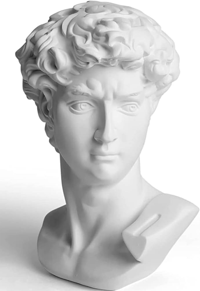 YiYFiT Resin Bust Statue Figurine,6”15cm Greek Mythology David Bust Sculpture figurine for Home... | Amazon (UK)
