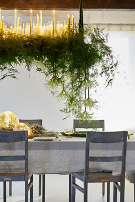 Over-the-Table Trellis | Anthropologie (US)