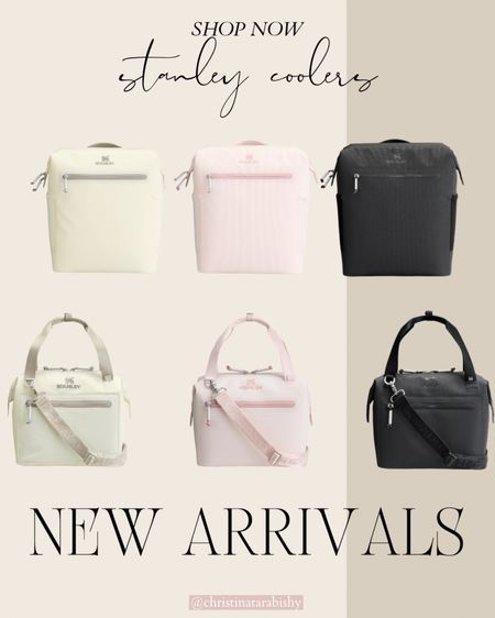 New all day coolers from Stanley! I love this idea! A backpack or mini to choose from! 