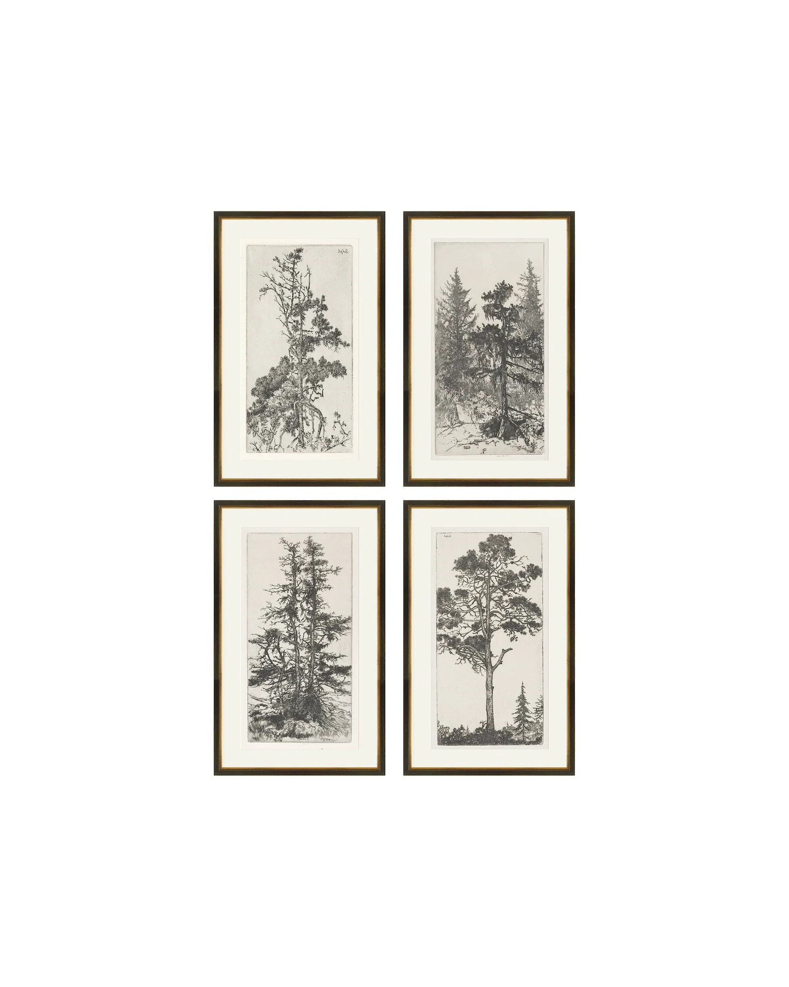 Set of 4 Trees Etchings, Vintage Trees Prints, Gallery Wall Vintage Art, Set of 4 Wall Art, Set o... | Etsy (US)