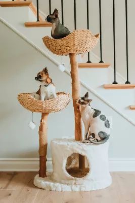 Mau Pet Cento Cat Tree | Anthropologie (US)