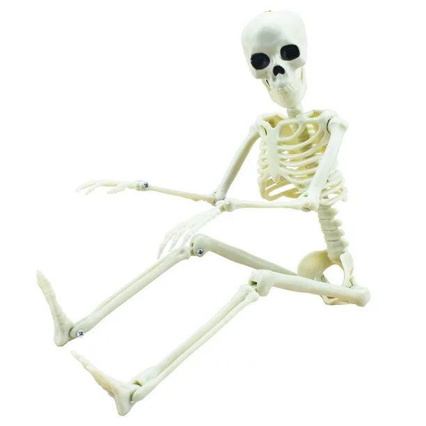 16” Posable Halloween Skeleton- Full Body Halloween Skeleton with Movable Joints for Haunted Ho... | Walmart (US)