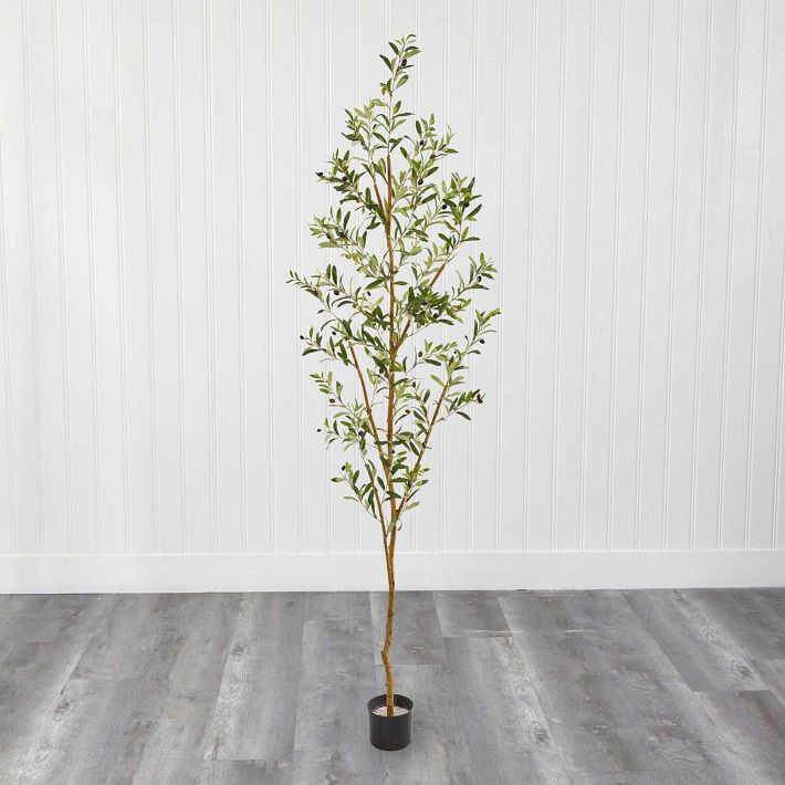 Faux Olive Tree | Pottery Barn Teen