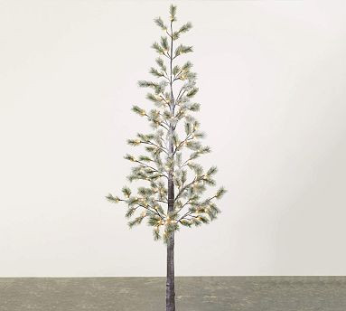 Lit Indoor/Outdoor Snow Pine Tree | Pottery Barn (US)