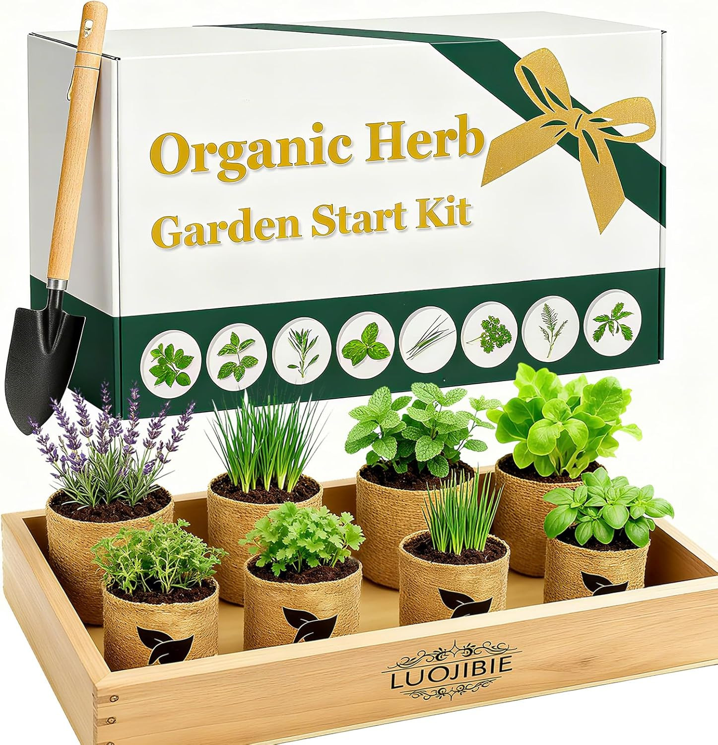 Organic Indoor Herb Garden Start Kit - Unique Gifts for Women, Christmas Gifts for Adults, Easy H... | Amazon (US)