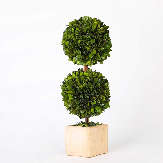 Preserved Boxwood Topiary Green Plant for Home Coffee bar Decor Dual Ball Shape 16 inch Tall Spri... | Amazon (US)