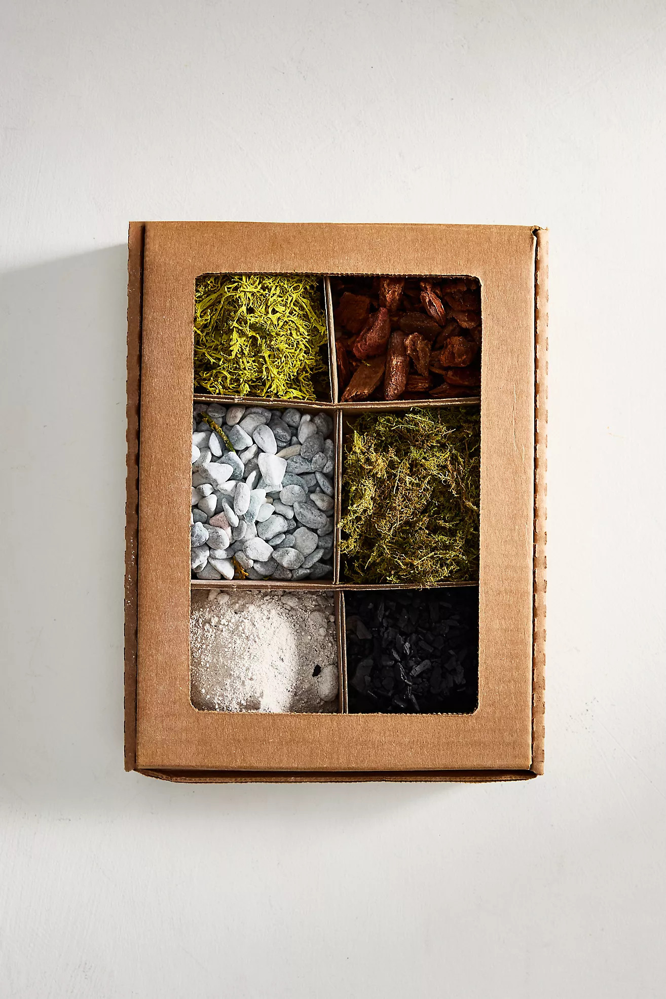 Woodland Terrarium Planting Kit | Anthropologie (US)