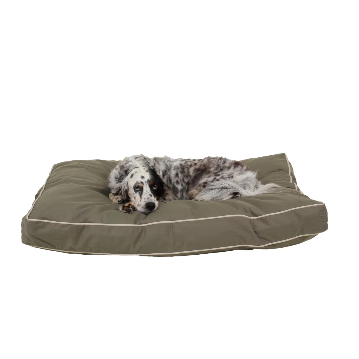 Classic Canvas Rectangle Pet Bed with Removable Cover | Wayfair North America