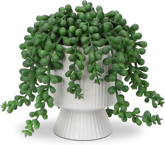 Faux Succulents Plants Artificial String of Pearls 6.2" Fake Succulent Plants Artificial Succulen... | Amazon (US)