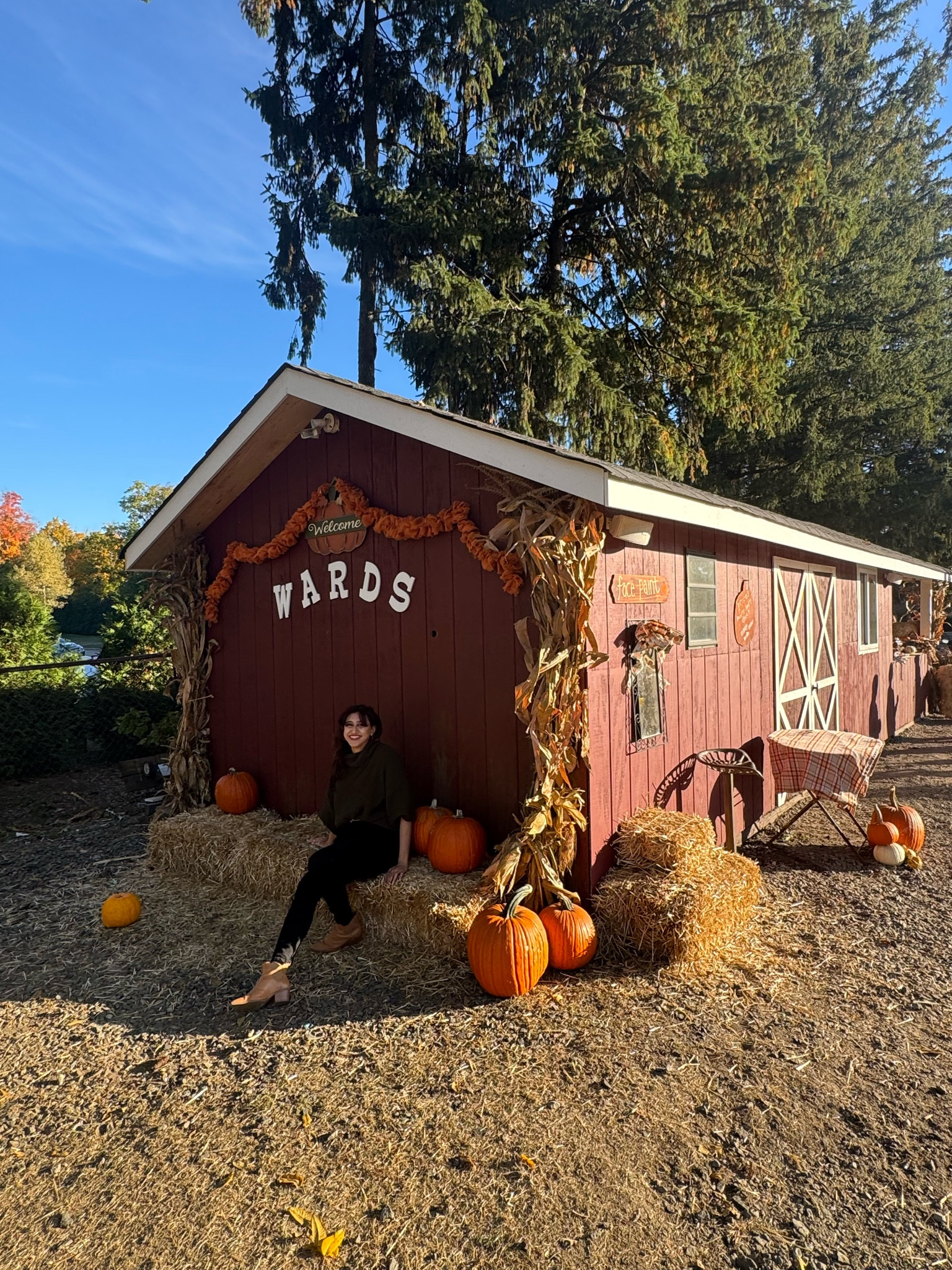 Fall sweaters 

#LTKHalloween #LTKWorkwear