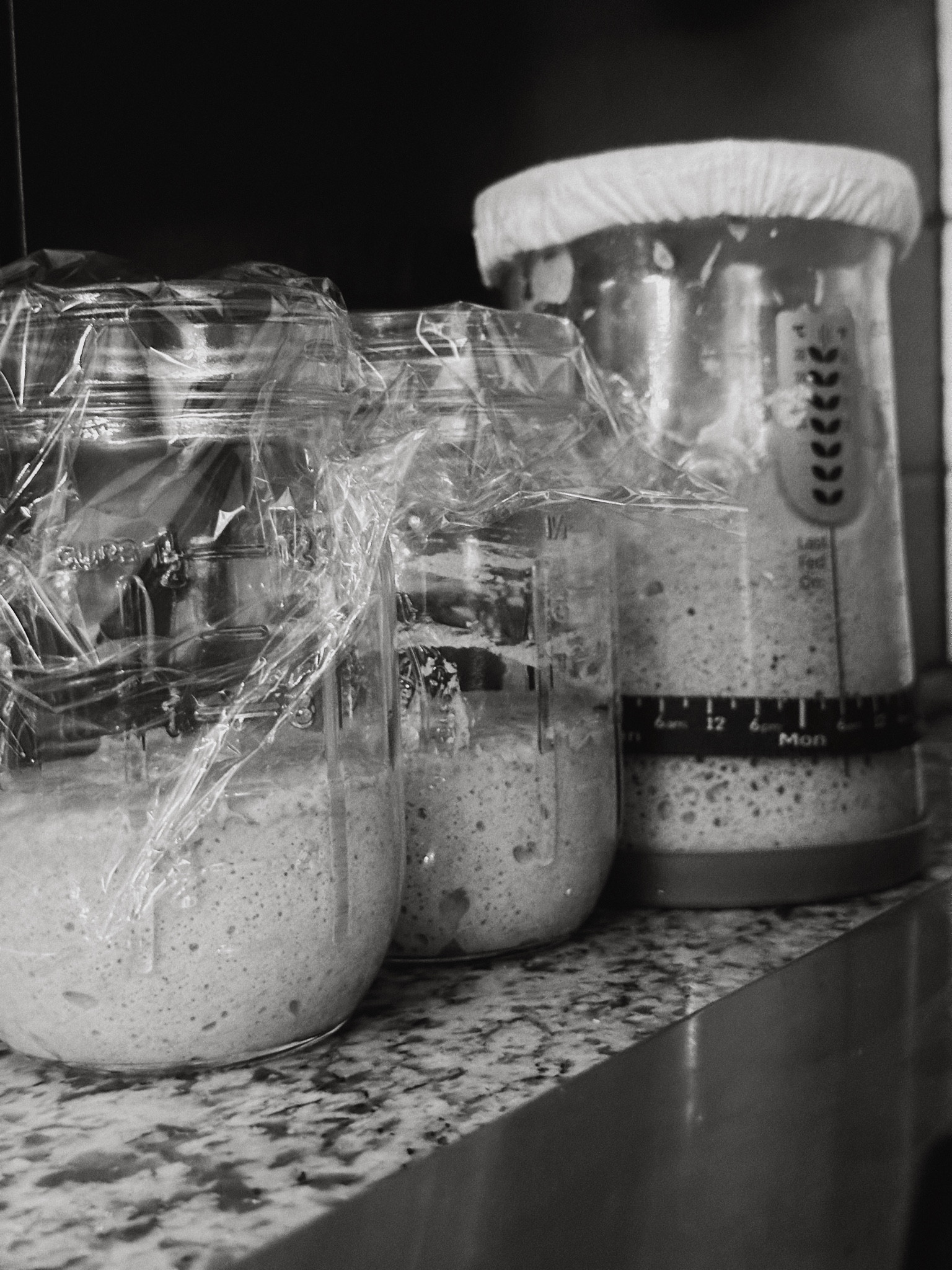 SOURDOUGH MUST HAVES

#LTKHome