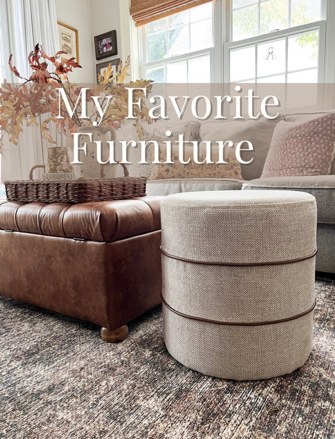 Target Ottomans 

Living room, Target, coffee table, sofa, family roomm

#LTKsalealert #LTKstyletip #LTKfindsunder100