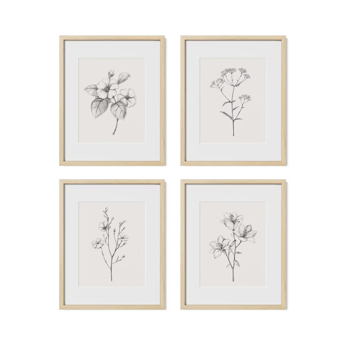 Framed Antique Floral Print Set – Set of 4 Vintage Botanical Prints | Target