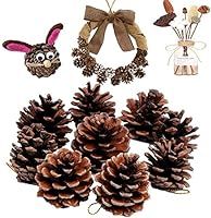 Johouse Natural Pine Cones, Christmas Rustic Pinecones Fall Garland Halloween Thanksgiving Decora... | Amazon (US)
