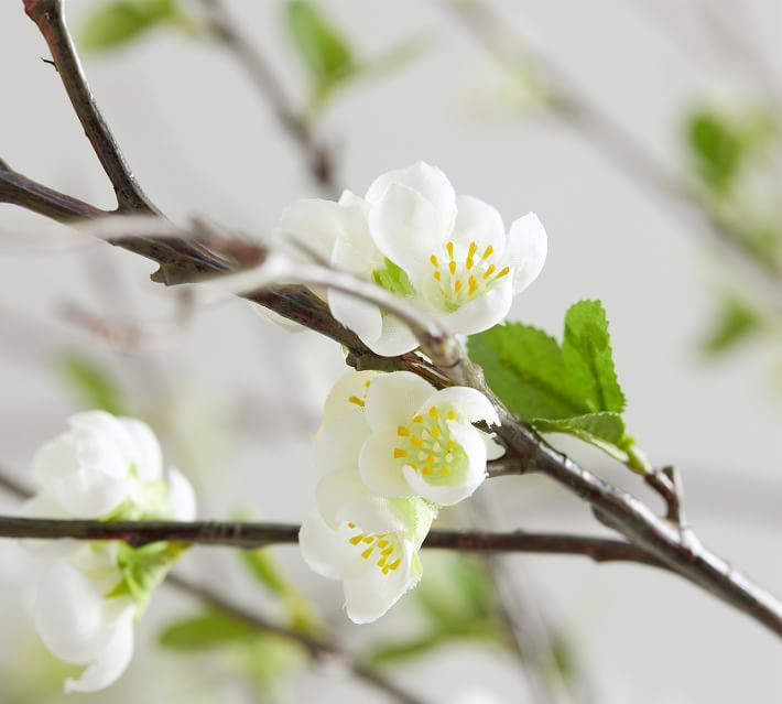 Faux White Blossom Branch | Pottery Barn (US)
