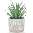 Der Rose Fake Succulents Plants Artificial Succulents in Pots for Room Home Bathroom Bedroom Offi... | Amazon (US)
