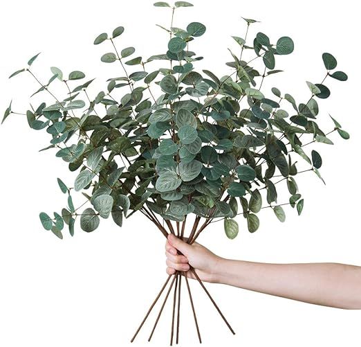 Miracliy 6 PCS Artificial Eucalyptus Leaves Greenery Stems Faux Silk Silver Dollar Eucalyptus Lea... | Amazon (US)