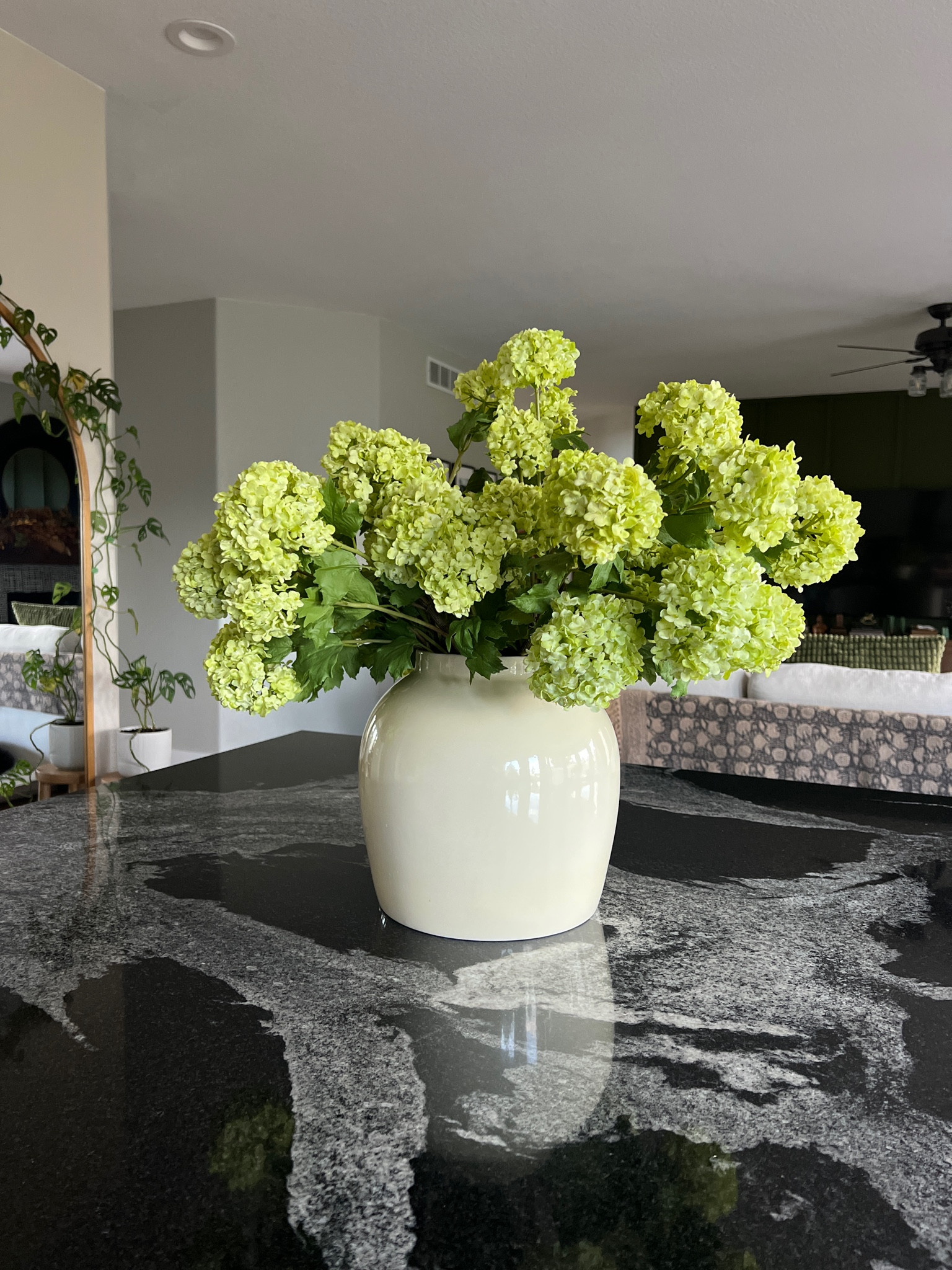 The best snowball hydrangeas for spring 

#LTKSeasonal #LTKHome #LTKFindsUnder50