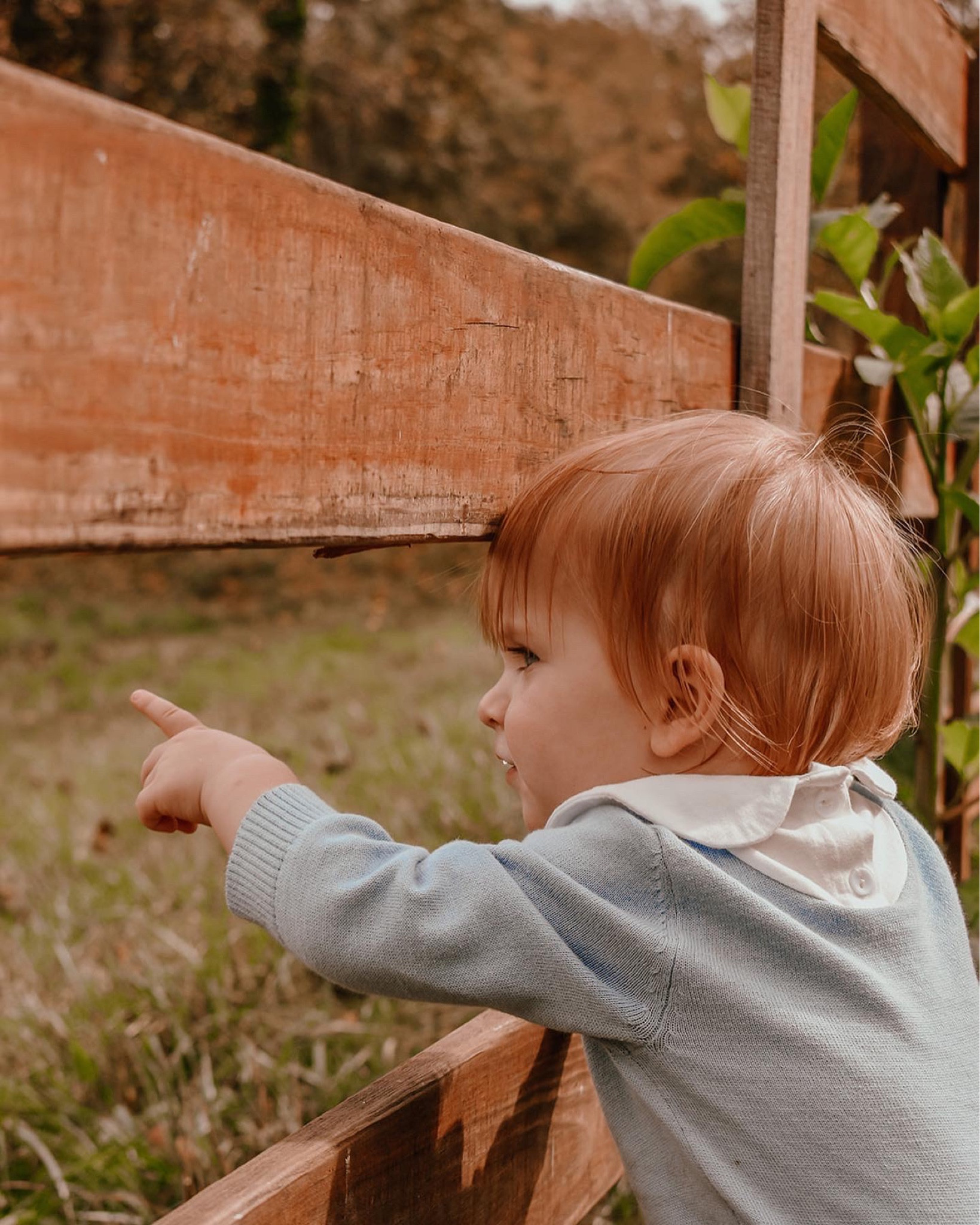 Oh what a joy it is getting to see the world through your eyes, sweet boy!! We are thanking the Lord for your precious life this Thanksgiving week, and cherishing these special memories and moments with you!! I sure do love being a mama and love my little family!! 👼🏼🫶🏽🍂🦃 #happythanksgivingweek 

“Praise the Lord. Give thanks to the Lord, for he is good; his love endures forever.” // Psalm 106:1 🙏🏽🤍🍁🌾

…

#emilysayswes #judsoncarpentermabry #seventeenmonthsold #seventeenmonthold #seventeenmontholdbaby #seventeenmontholdboy #judsonmonthbymonth #sweetjudson #oursweetboy #oneyearold #oneyearoldbaby #oneyearoldbabyboy #oneyearoldboy #gratefulmotherhood #thankyoulord #sweetfallmemories #mysweetboys #novembermemories #alltheseasons #thanksgivinggratitude #liketkit #LTKhome #LTKbaby #LTKfamily @shop.ltk 