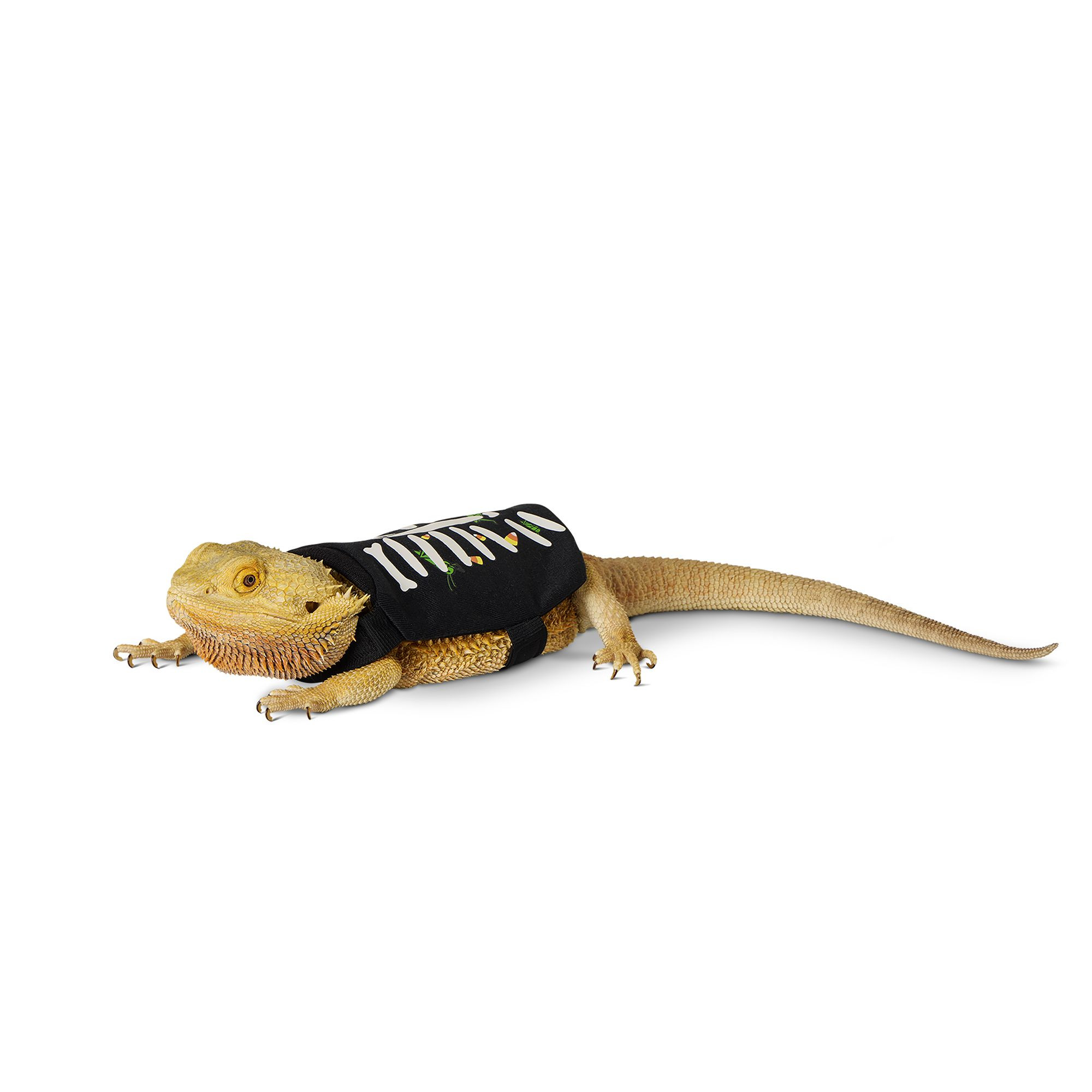 Thrills & Chills® Glow-in-the-dark Skeleton Reptile T-Shirt | PetSmart