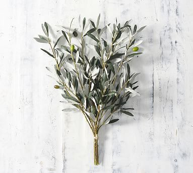 Faux Olive Bundle | Pottery Barn (US)