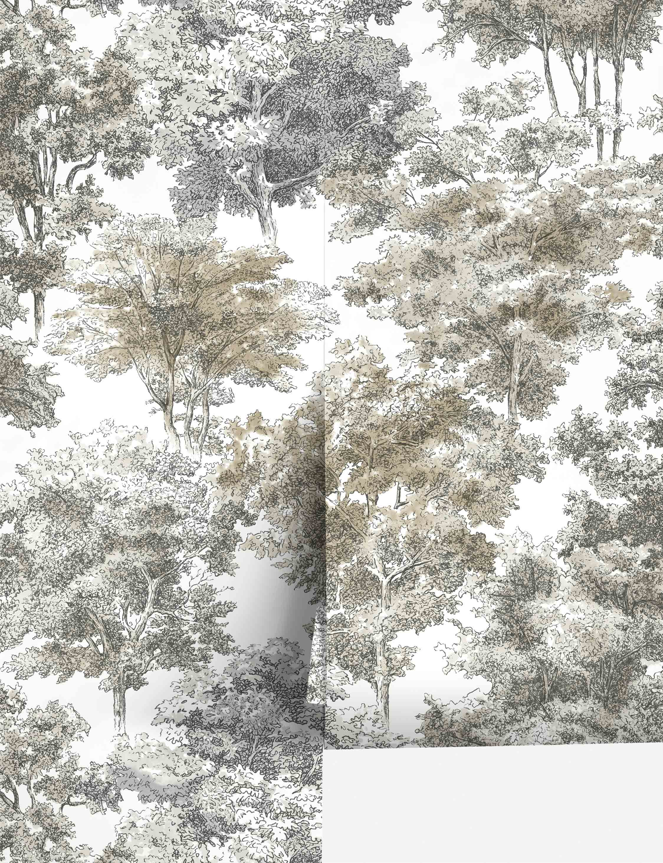 Old World Trees Peel + Stick Wallpaper | Lulu and Georgia 