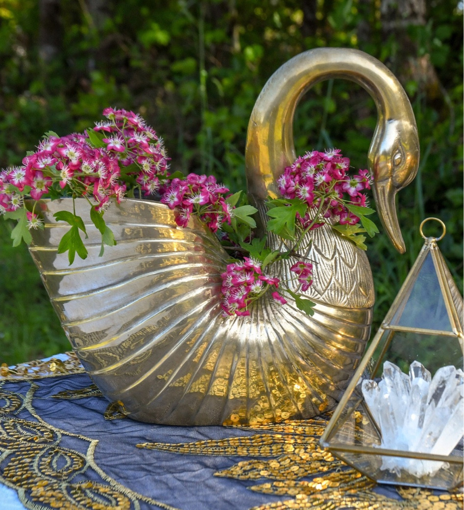 Etsy Find 
Swan Planter
Home Decor
Amazon Home
H&M
Furniture

#LTKstyletip #LTKhome #LTKfamily