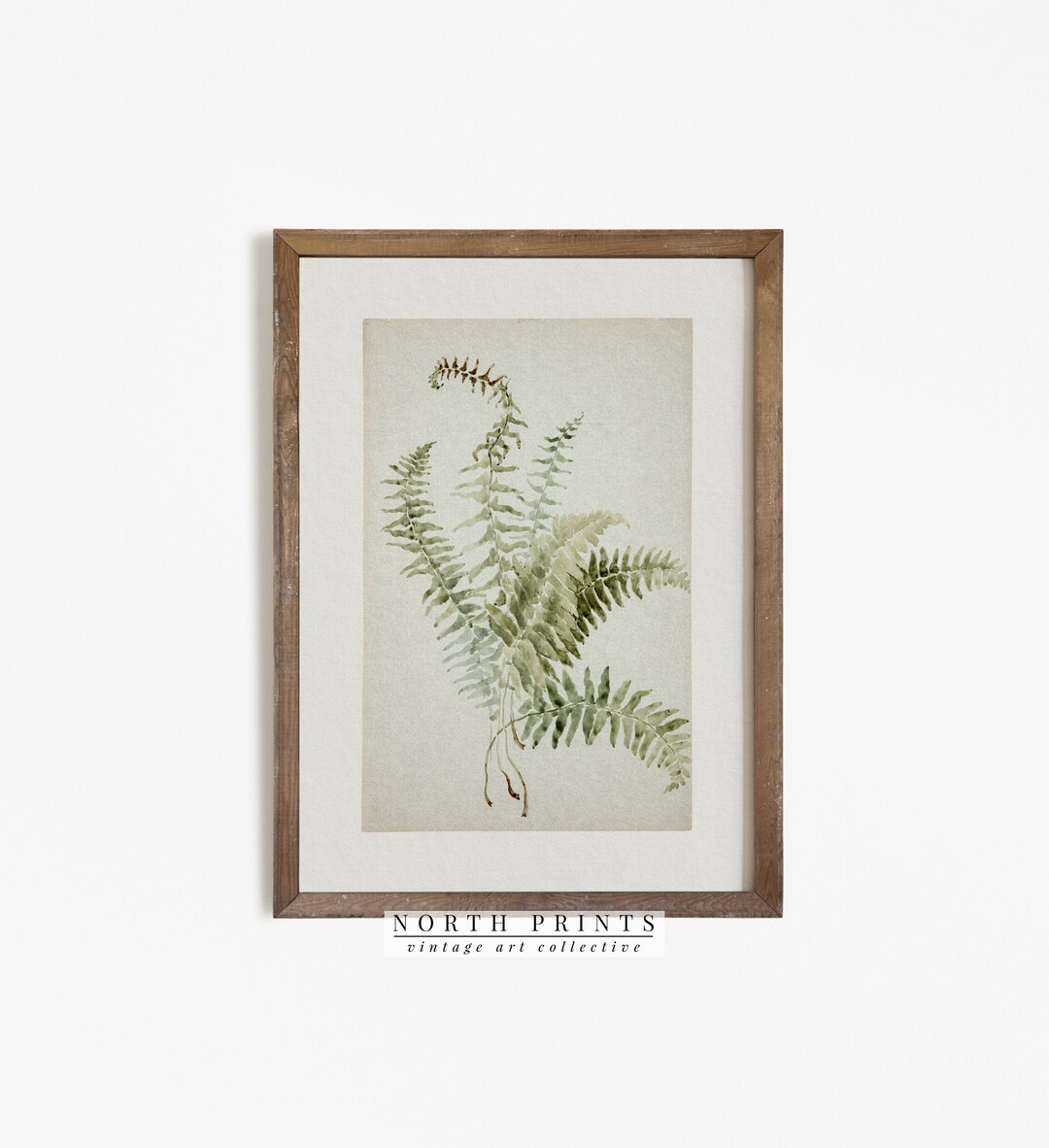 Antique Botanical Painting | Vintage Fern Print | Country Farmhouse Art Digital PRINTABLE | 211 | Etsy (US)