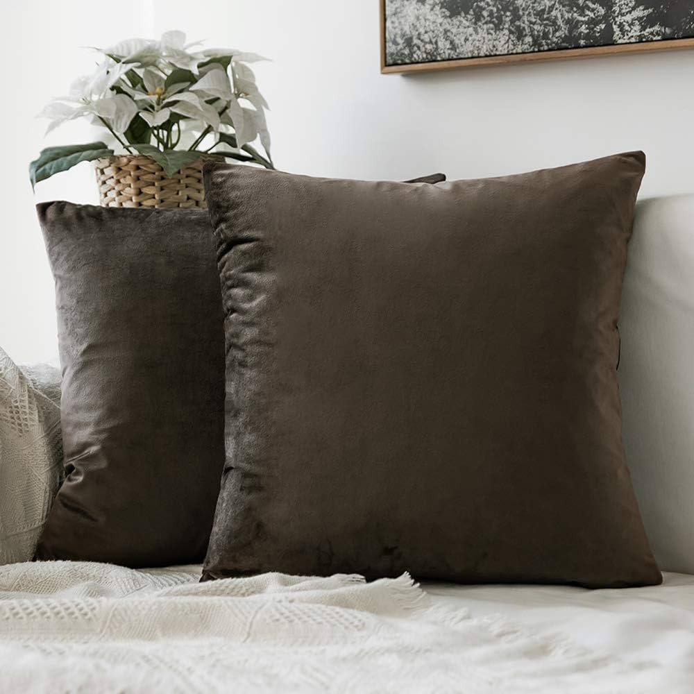 MIULEE Pack of 2 Dark Coffee Velvet Throw Pillow Covers 16x16 Inch Soft Solid Decorative Square Set  | Amazon (US)
