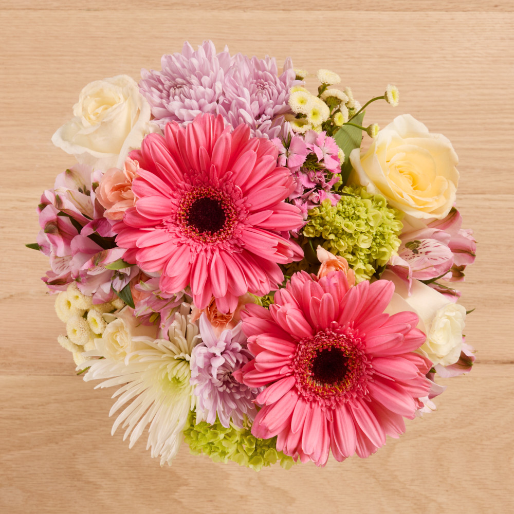 Mixed Spring Hydrangeas, Gerberas & Roses - The Bouqs Co. | The Bouqs Co.