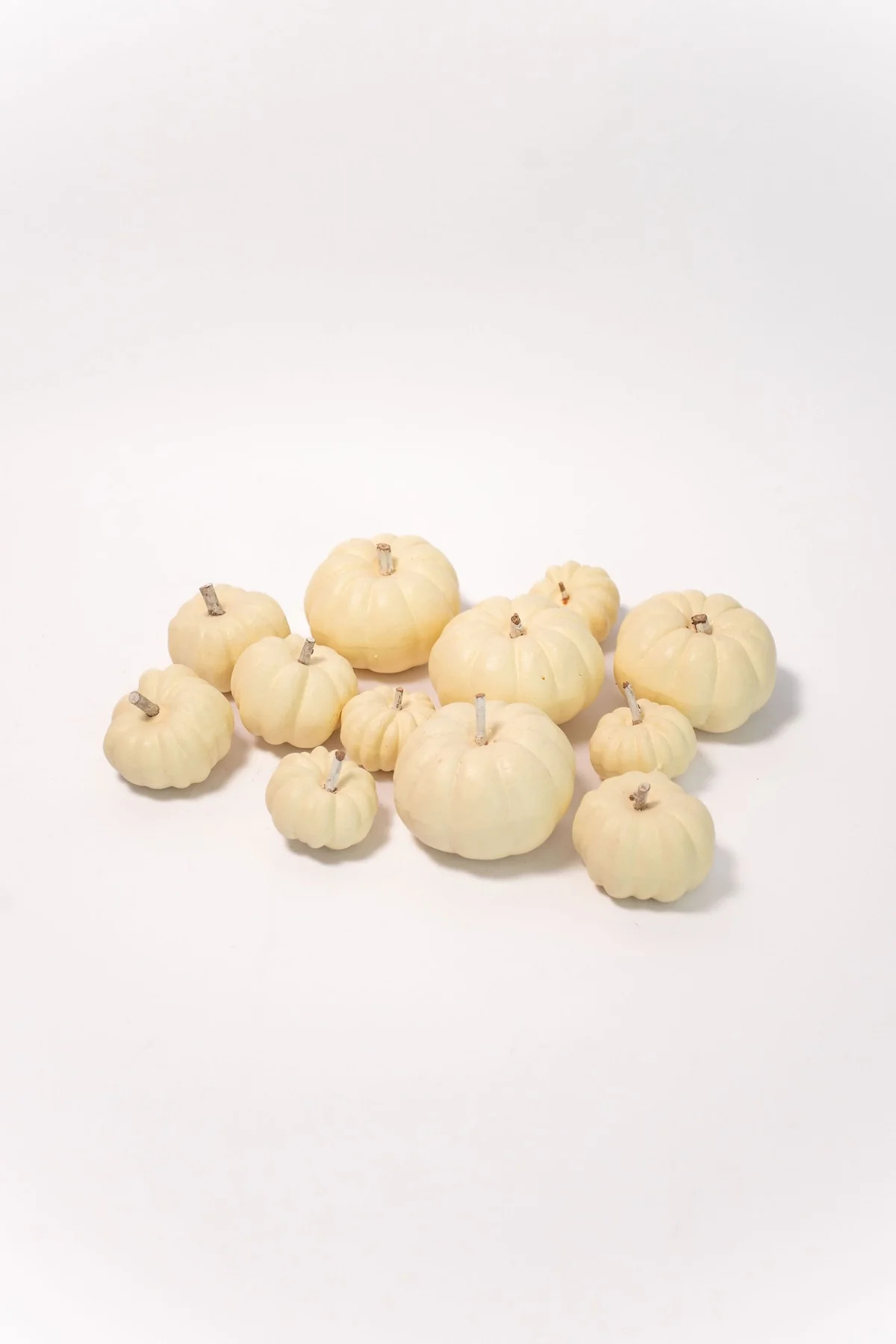 Mini Cream Pumpkins - Set of 12 | THELIFESTYLEDCO