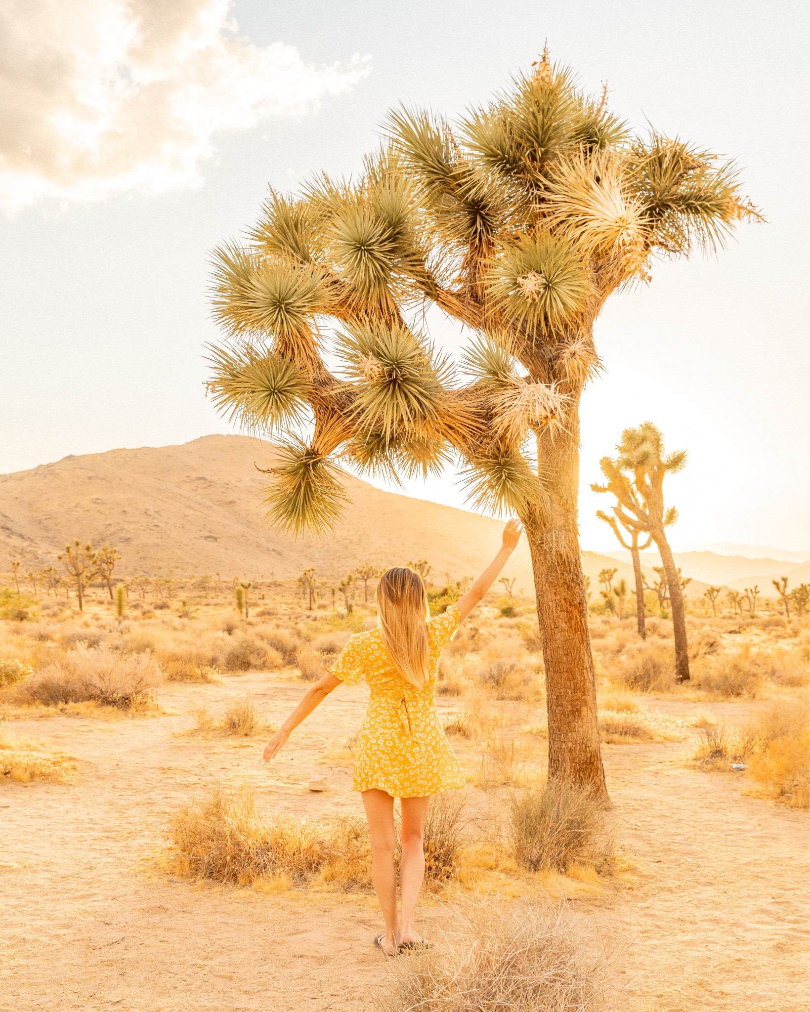 Loving this stunning Lulus fall dress – it's the perfect blend of cozy and chic! // 

Lulus Dresses, Lulus Code, Fall Dresses 2023, Casual Fall Dress, Womens Fall Dresses, Fall, Fall Outfit, Fall Outfits, Fall 2023, Fall Fashion, Fall Fashion 2023, Fall Outfits 2023, Fall Dresses, Fashion, Fashion and Style Edit

#LTKstyletip #LTKfindsunder50 #LTKSeasonal